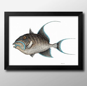 Cm re[WCXg A3 TCY |X^[ A[g  G CeA k CXg }bg  A[gpl z t[ fUC Ǌ| Mtg Vzj fBXvC