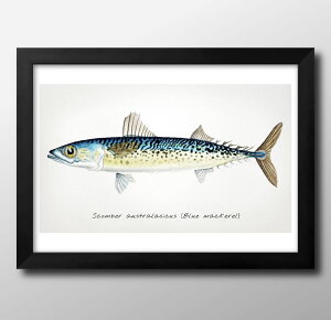 Cm re[WCXg A3 TCY |X^[ A[g  G CeA k CXg }bg  A[gpl z t[ fUC Ǌ| Mtg Vzj fBXvC