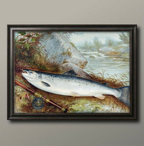 gEg }X ނ蕗i A3 TCY |X^[ A[g  G CeA k CXg }bg  A[gpl z t[ fUC Ǌ| Mtg Vzj fBXvC B 