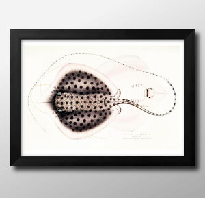 Cm re[WCXg A3 TCY |X^[ A[g  G CeA k CXg }bg  A[gpl z t[ fUC Ǌ| Mtg Vzj fBXvC