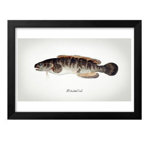 Cm re[WCXg A3 TCY |X^[ A[g  G CeA k CXg }bg  A[gpl z t[ fUC Ǌ| Mtg Vzj fBXvC