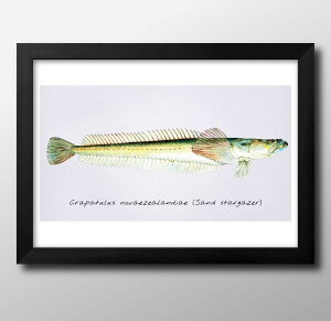 Cm re[WCXg A3 TCY |X^[ A[g  G CeA k CXg }bg  A[gpl z t[ fUC Ǌ| Mtg Vzj fBXvC