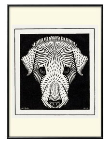 W[ h O[O  A3 TCY |X^[ A[g  G CeA k CXg }bg  A[gpl z t[ fUC Ǌ| Mtg Vzj fBXvC B