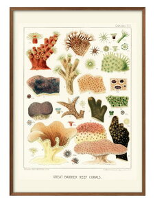 Cm re[WCXg A3 TCY |X^[ A[g  G CeA k CXg }bg  A[gpl z t[ fUC Ǌ| Mtg Vzj fBXvC