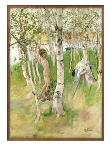 J[ [V ̖΂݂̗̒̏N A3 TCY |X^[ A[g  G CeA k CXg }bg  A[gpl z t[ fUC Ǌ| Mtg Vzj