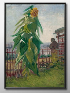 �t�B���Z���g �t�@�� �S�b�z Allotment with Sunflower A3 �T�C�Y �|�X�^�[ �A�[�g ������� �G�� �C���e���A �k�� �C���X�g �}�b�g�� ������ �A�[�g�p�l�� �z �t���[�� �f�U�C�� �Ǌ|�� �M�t�g �V�z