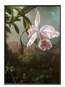 }[eB W\ q[h ̉ A3 TCY |X^[ A[g  G CeA k CXg }bg  A[gpl z t[ fUC Ǌ| Mtg Vzj fB