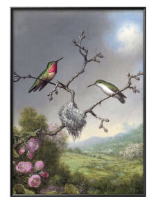 }[eB W\ q[h Hummingbirds and Apple Blossoms A3 TCY |X^[ A[g  G CeA k CXg }bg  A[gpl z t[ fUC Ǌ| Mt