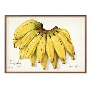 �t���[�c �o�i�i �r���e�[�W�C���X�g A3 �T�C�Y �|�X�^�[ �A�[�g ������� �G�� �C���e���A �k�� �C���X�g �}�b�g�� ������ �A�[�g�p�l�� �z �t���[�� �f�U�C�� �Ǌ|�� �M�t�g �V�z�j�� �f�B