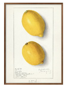 �t���[�c ������ �r���e�[�W�C���X�g A3 �T�C�Y �|�X�^�[ �A�[�g ������� �G�� �C���e���A �k�� �C���X�g �}�b�g�� ������ �A�[�g�p�l�� �z �t���[�� �f�U�C�� �Ǌ|�� �M�t�g �V�z�j�� �f�B