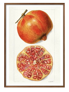 �t���[�c �U�N�� �r���e�[�W�C���X�g A3 �T�C�Y �|�X�^�[ �A�[�g ������� �G�� �C���e���A �k�� �C���X�g �}�b�g�� ������ �A�[�g�p�l�� �z �t���[�� �f�U�C�� �Ǌ|�� �M�t�g �V�z�j�� �f�B