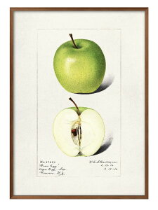 �t���[�c �ь� �r���e�[�W�C���X�g A3 �T�C�Y �|�X�^�[ �A�[�g ������� �G�� �C���e���A �k�� �C���X�g �}�b�g�� ������ �A�[�g�p�l�� �z �t���[�� �f�U�C�� �Ǌ|�� �M�t�g �V�z�j�� �f�B�X