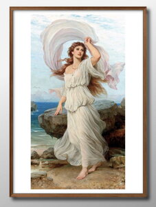 g[}X tVX fBbNV[ ~_ A3 TCY |X^[ A[g  G CeA k CXg }bg  A[gpl z t[ fUC Ǌ| Mtg Vzj