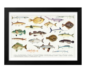 Cm A3 TCY |X^[ A[g  G CeA k CXg }bg  A[gpl z t[ fUC Ǌ| Mtg Vzj fBXvC B 