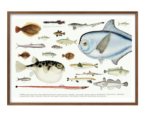 Cm A3 TCY |X^[ A[g  G CeA k CXg }bg  A[gpl z t[ fUC Ǌ| Mtg Vzj fBXvC B 