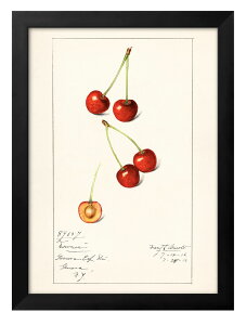 č_ȃ|WJʃRNV  A3 TCY |X^[ A[g  G CeA k CXg }bg  A[gpl z t[ fUC Ǌ| Mt