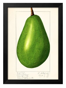 č_ȃ|WJʃRNV miV  tX A3 TCY |X^[ A[g  G CeA k CXg }bg  A[gpl z t[ fUC Ǌ|