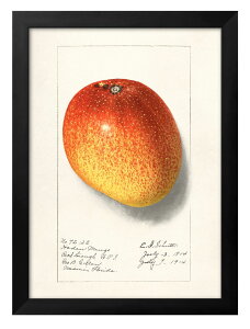 č_ȃ|WJʃRNV }S[ A3 TCY |X^[ A[g  G CeA k CXg }bg  A[gpl z t[ fUC Ǌ| Mtg 