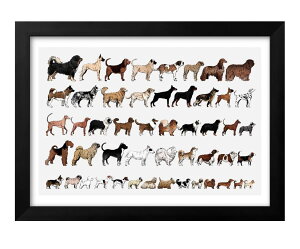 Dog Breed Chart A3 TCY |X^[ A[g  G CeA k CXg }bg  A[gpl z t[ fUC Ǌ| Mtg Vzj fBXvC B 