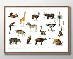  } Tt@ ZOO A3 TCY |X^[ A[g  G CeA k CXg }bg  A[gpl z t[ fUC Ǌ| Mtg Vzj fBXvC B