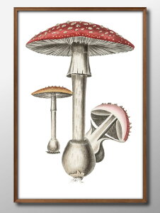 LmR } A3 TCY |X^[ A[g  G CeA k CXg }bg  A[gpl z t[ fUC Ǌ| Mtg Vzj fBXvC B 