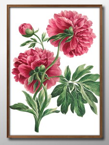 re[WCXg t[  {^jJ A3 TCY |X^[ A[g  G CeA k CXg }bg  A[gpl z t[ fUC Ǌ| Mtg Vzj