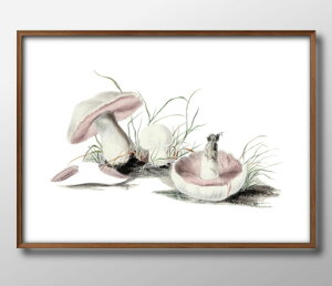 LmR } A3 TCY |X^[ A[g  G CeA k CXg }bg  A[gpl z t[ fUC Ǌ| Mtg Vzj fBXvC B 