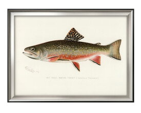 オスのカワマス ビンテージイラスト A3 サイズ ポスター アート おしゃれ 絵画 インテリア 北欧 イラスト マット紙 艶消し アートパネル 額 フレーム デザイン 壁掛け ギフト 新築祝い ディスプレイ 速達 送料無料