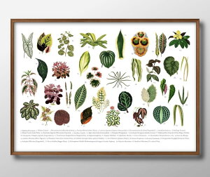 A} {^jJ t A3 TCY |X^[ A[g  G CeA k CXg }bg  A[gpl z t[ fUC Ǌ| Mtg Vzj fBXvC 