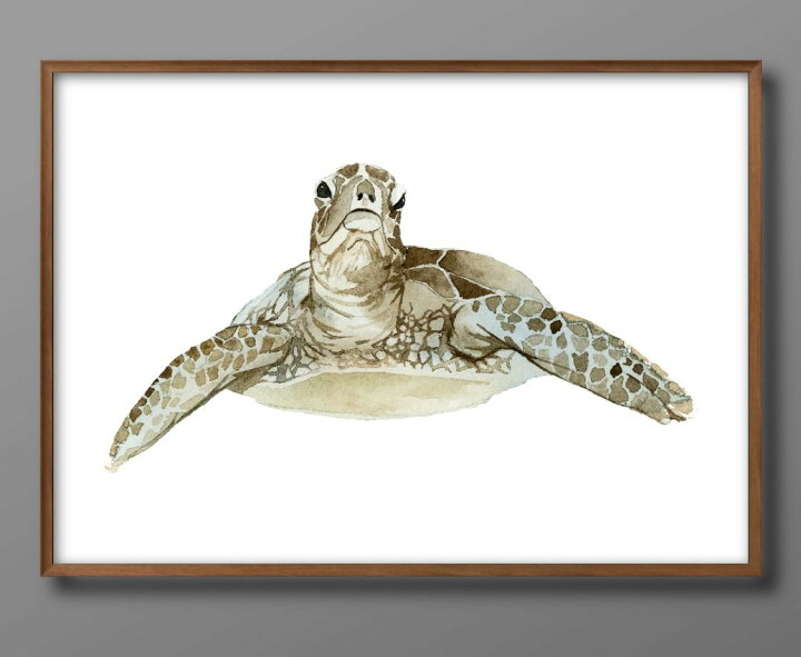 楽天市場】亀 タートル ウミガメ ビンテージ 水彩 A3 サイズ ポスター  