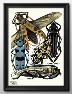 E A ZM Insectes Pl. A3 TCY |X^[ A[g  G CeA k CXg }bg  A[gpl z t[ fUC Ǌ| Mtg Vzj fBXvC B 
