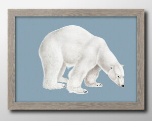 F N} xA[ CXg A3 TCY |X^[ A[g  G CeA k CXg }bg  A[gpl z t[ fUC Ǌ| Mtg Vzj fBXvC 