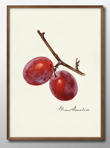 X ǎq re[W A3 TCY |X^[ A[g  G CeA k CXg }bg  A[gpl z t[ fUC Ǌ| Mtg Vzj fBXvC B 