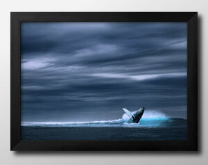 NW ~ zG[ A3 TCY |X^[ A[g  G CeA k CXg }bg  A[gpl z t[ fUC Ǌ| Mtg Vzj fBXvC B 