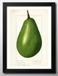 �r���e�[�W Avocado �A�{�K�h A3 �T�C�Y �|�X�^�[ �A�[�g ������� �G�� �C���e���A �k�� �C���X�g �}�b�g�� ������ �A�[�g�p�l�� �z �t���[�� �f�U�C�� �Ǌ|�� �M�t�g �V�z�j�� �f�B�X�v���C ��