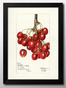 re[W  `F[ A3 TCY |X^[ A[g  G CeA k CXg }bg  A[gpl z t[ fUC Ǌ| Mtg Vzj fBXv