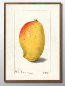 re[W }S[ A3 TCY |X^[ A[g  G CeA k CXg }bg  A[gpl z t[ fUC Ǌ| Mtg Vzj fBXvC B 