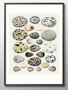  } re[W A3 TCY |X^[ A[g  G CeA k CXg }bg  A[gpl z t[ fUC Ǌ| Mtg Vzj fBXvC B 