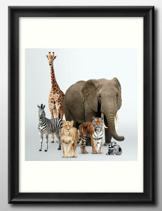 W Aj}  L A3 TCY |X^[ A[g  G CeA k CXg }bg  A[gpl z t[ fUC Ǌ| Mtg Vzj fBXv