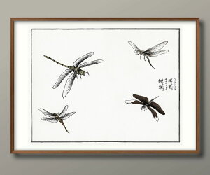 X{q g{ x  A3 TCY |X^[ A[g  G CeA k CXg }bg  A[gpl z t[ fUC Ǌ| Mtg Vzj fBXvC 