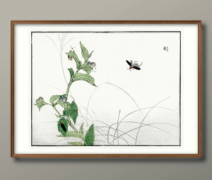 X{q u z^ A3 TCY |X^[ A[g  G CeA k CXg }bg  A[gpl z t[ fUC Ǌ| Mtg Vzj fBXvC B 