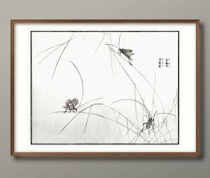 X{q 钎 }cV ob^ A3 TCY |X^[ A[g  G CeA k CXg }bg  A[gpl z t[ fUC Ǌ| Mtg Vzj fBXv