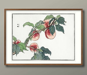 X{q ђ  A3 TCY |X^[ A[g  G CeA k CXg }bg  A[gpl z t[ fUC Ǌ| Mtg Vzj fBXvC B 