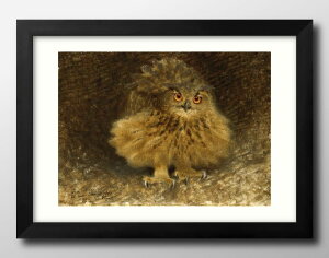 �u���[�m �����G�t�H�b�V��AnEagleOwl A3 �T�C�Y �|�X�^�[ �A�[�g ������� �G�� �C���e���A �k�� �C���X�g �}�b�g�� ������ �A�[�g�p�l�� �z �t���[�� �f�U�C�� �Ǌ|�� �M�t�g �V�z�j�� �f�B�X