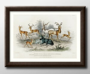 re[W  Aj} A3 TCY |X^[ A[g  G CeA k CXg }bg  A[gpl z t[ fUC Ǌ| Mtg Vzj fBXvC 