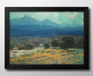 �O�������B�� ���h�����h California Poppy Field A3 �T�C�Y �|�X�^�[ �A�[�g ������� �G�� �C���e���A �k�� �C���X�g �}�b�g�� ������ �A�[�g�p�l�� �z �t���[�� �f�U�C�� �Ǌ|�� �M�t�g �V�z�j�� 