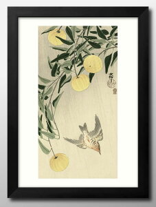  A3 TCY |X^[ A[g  G CeA k CXg }bg  A[gpl z t[ fUC Ǌ| Mtg Vzj fBXvC B 