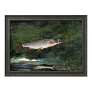 EBX[ z[}[ Watercolor Reproductions. Leaping Trout A3 TCY |X^[ A[g  G CeA k CXg }bg  A[gpl z t[ fUC Ǌ| Mtg 
