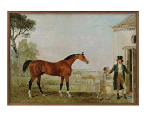 o[g }[V Sultan at the Marquess of Exeter's Stud A3 TCY |X^[ A[g  G CeA k CXg }bg  A[gpl z t[ fUC Ǌ| Mtg 