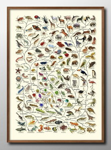 } A3 TCY |X^[ A[g  G CeA k CXg }bg  A[gpl z t[ fUC Ǌ| Mtg Vzj fBXvC B 